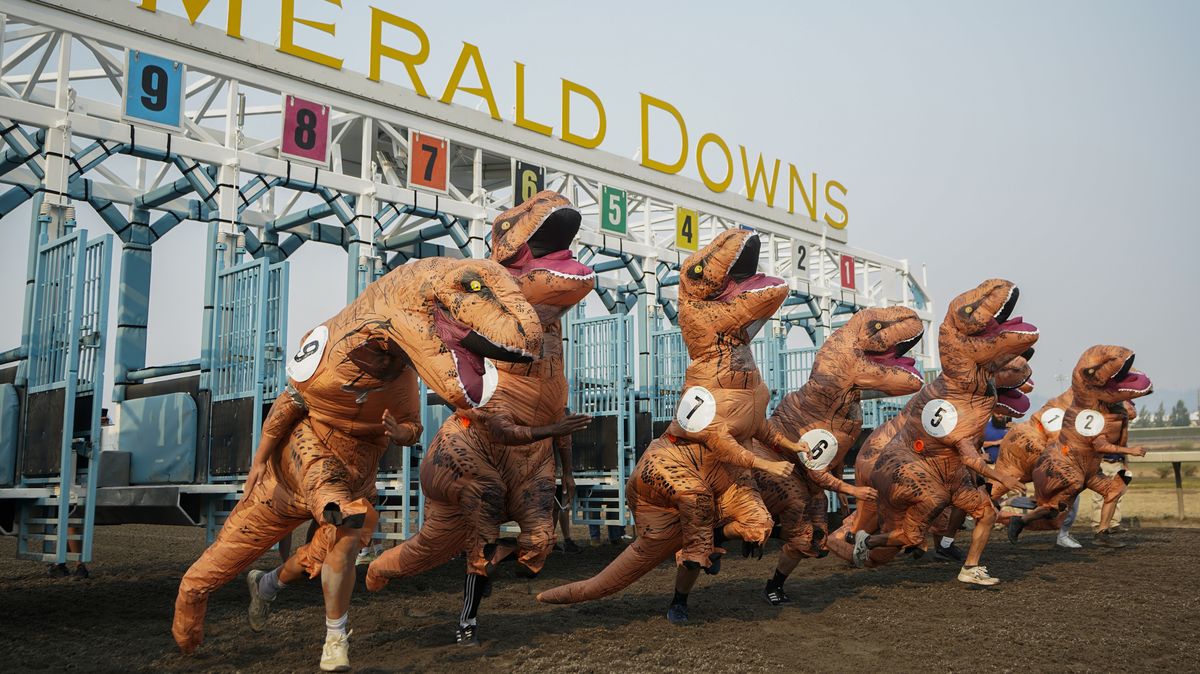 FOTO: Světový šampionát tyranosaurů rozhodl dramatický fotofiniš